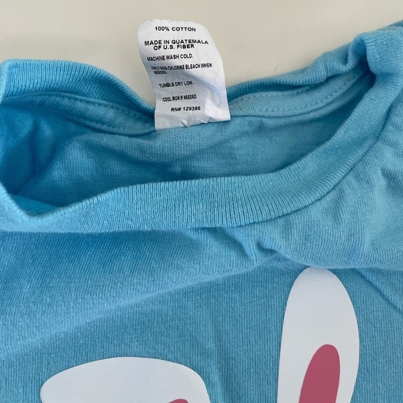 Creations of Grace 100% Cotton Blue Easter Graphic T-Shirt Toddler 4T - Picture 8 of 11